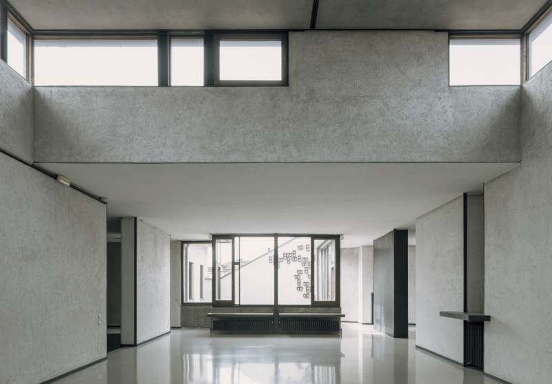 plüsch74 coleottero1 10 (6)