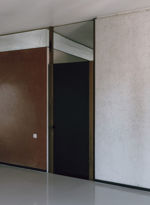 plüsch74 coleottero1 10