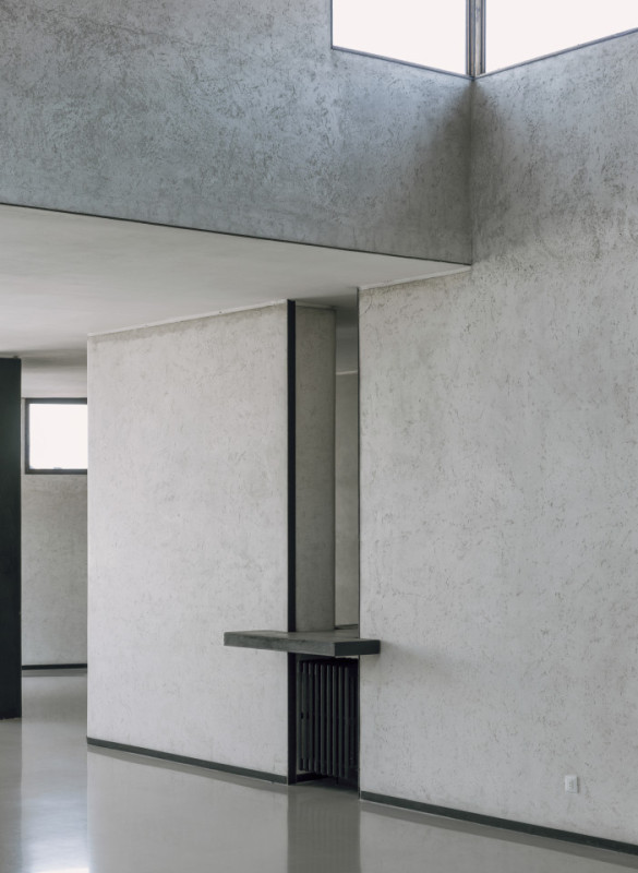 plüsch74 coleottero1 11