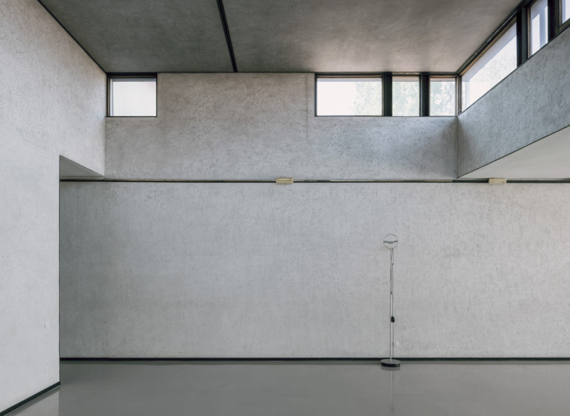 plush74 coleottero1 12 (3)