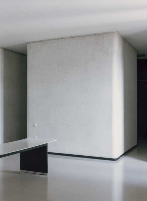 plüsch74 coleottero1 6