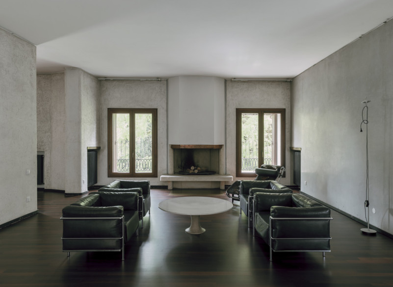 plush74 coleottero1 8 (1)