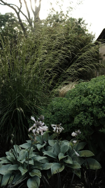 plüsch74 landschaft serenity uckermark 18(1)