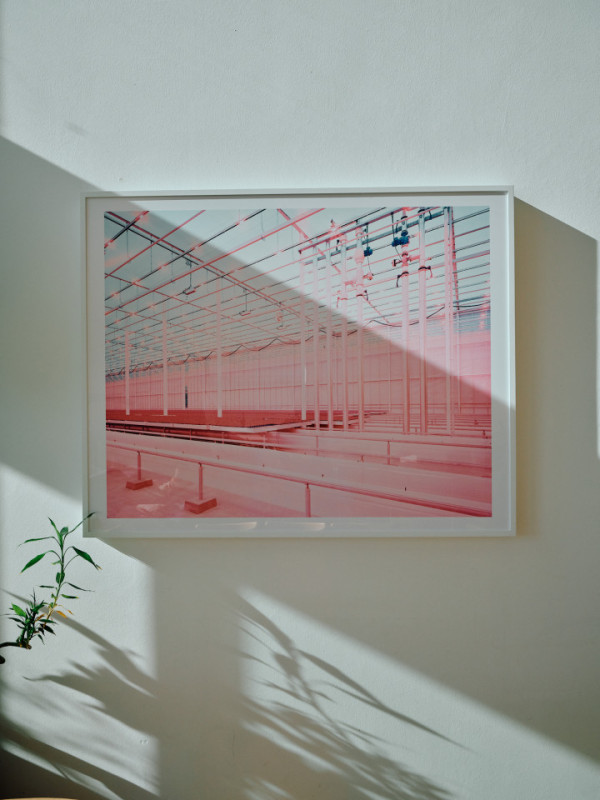 felpa74 diseño azotea loft con terraza 31