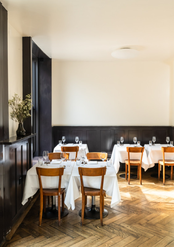 peluche74 elegante semplicità 4(1)