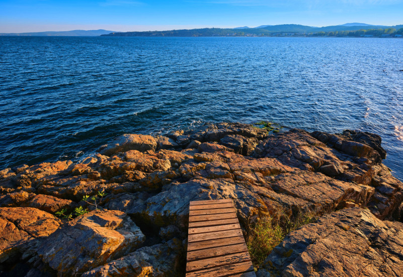 felpa74 en181 17 (3)