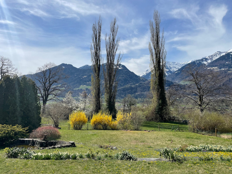 plush74 film photo event location switzerland maienfeld villa nature gardens 1
