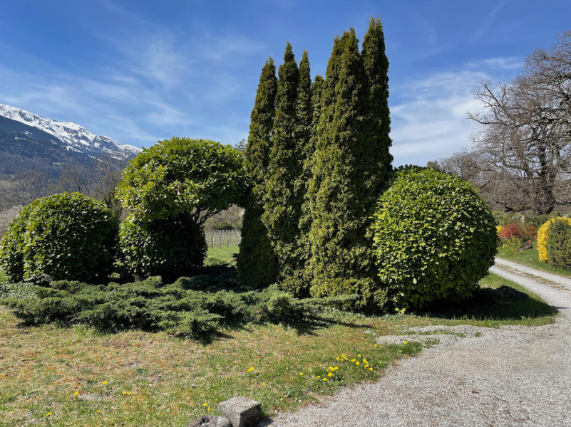 plush74 film photo event location switzerland maienfeld villa nature gardens 20