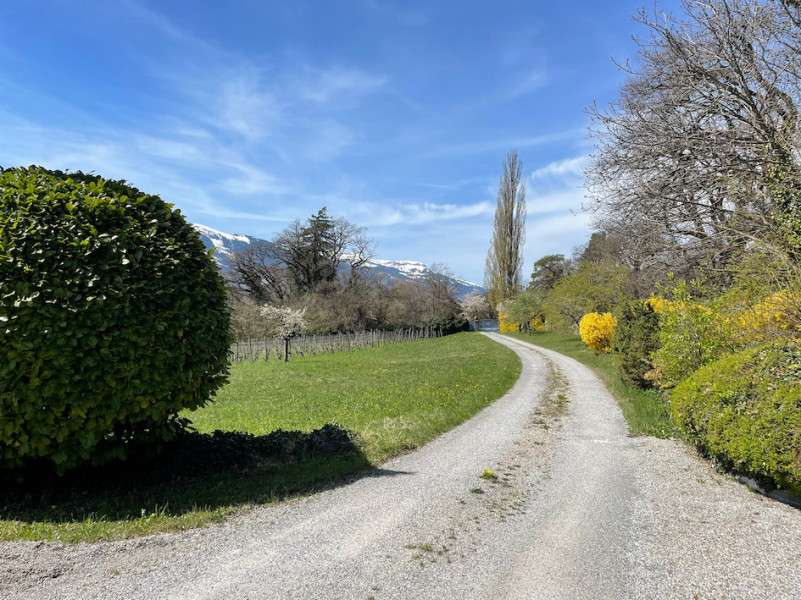 plush74 film photo event location switzerland maienfeld villa nature gardens 21