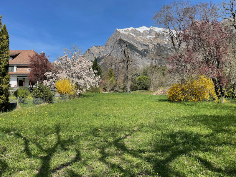 plush74 film photo event location switzerland maienfeld villa nature gardens 43