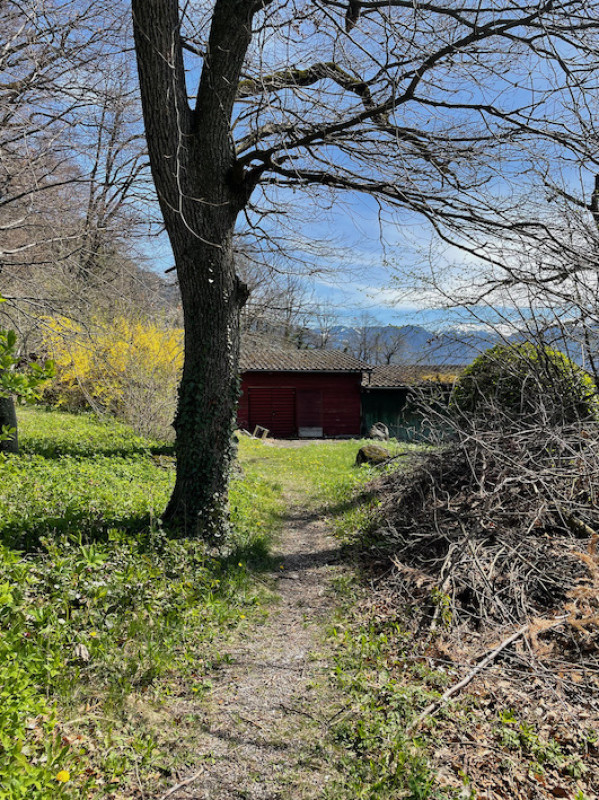 plush74 film photo event location switzerland maienfeld villa nature gardens 47