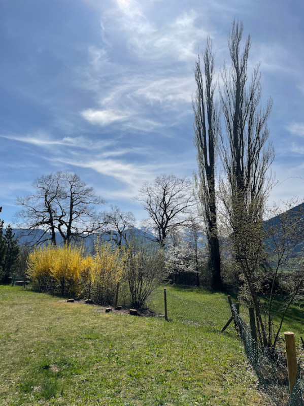 plush74 film photo event location switzerland maienfeld villa nature gardens 5