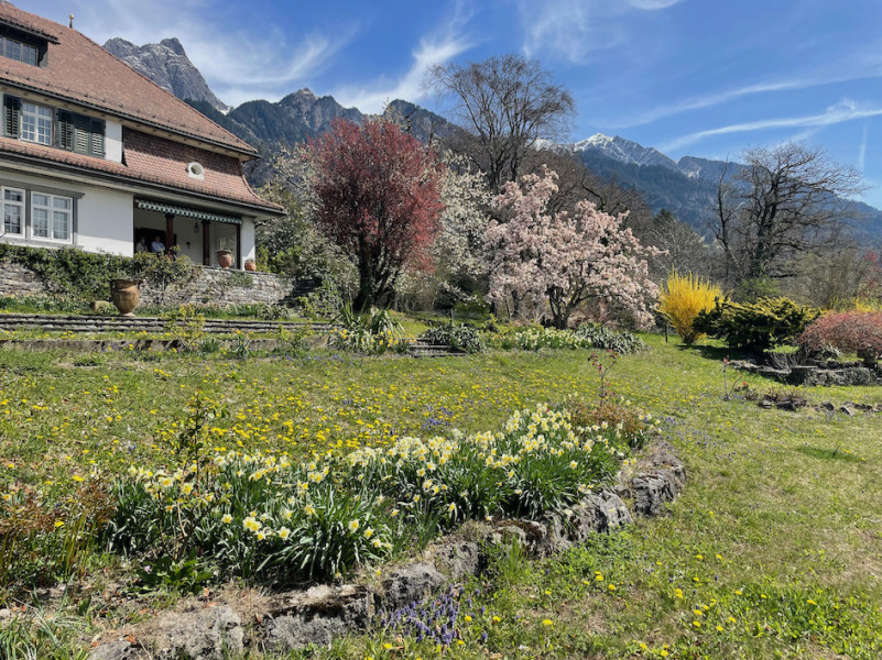 plush74 film photo event location switzerland maienfeld villa nature gardens 6