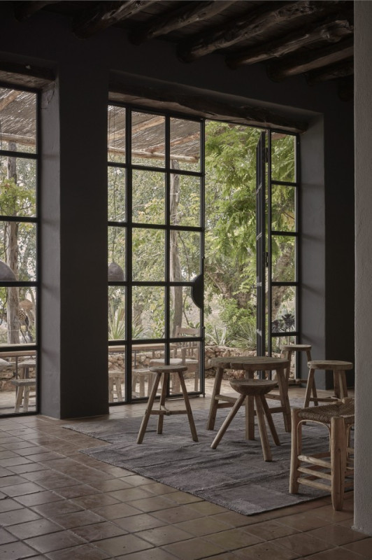 plush74 ibizan state 14