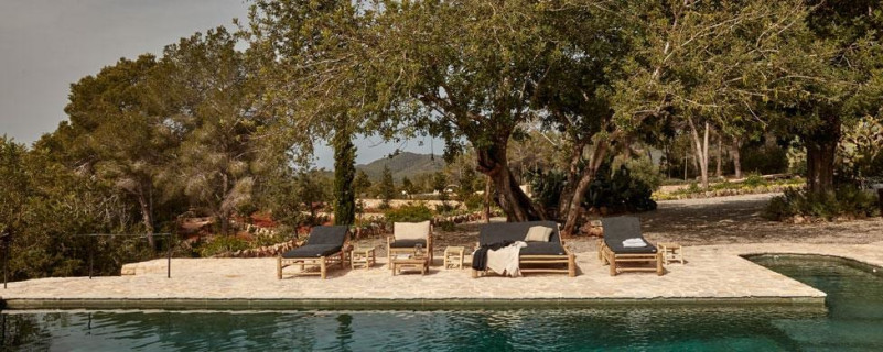 plush74 ibizan state 21