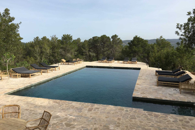 plush74 ibizan state 25