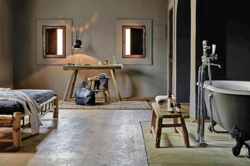 plush74 ibizan state 5