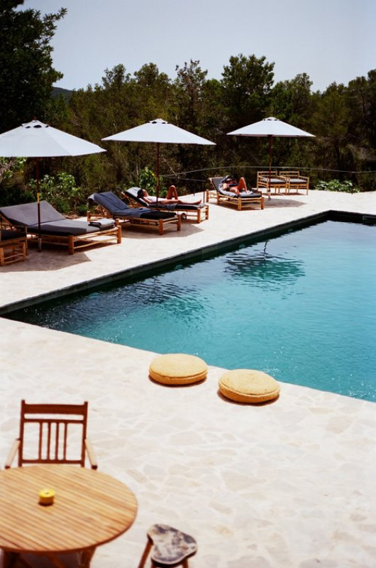 plush74 ibizan state 8