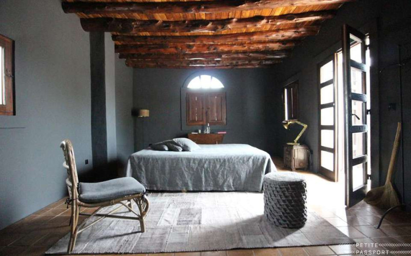 plush74 ibizan state 9