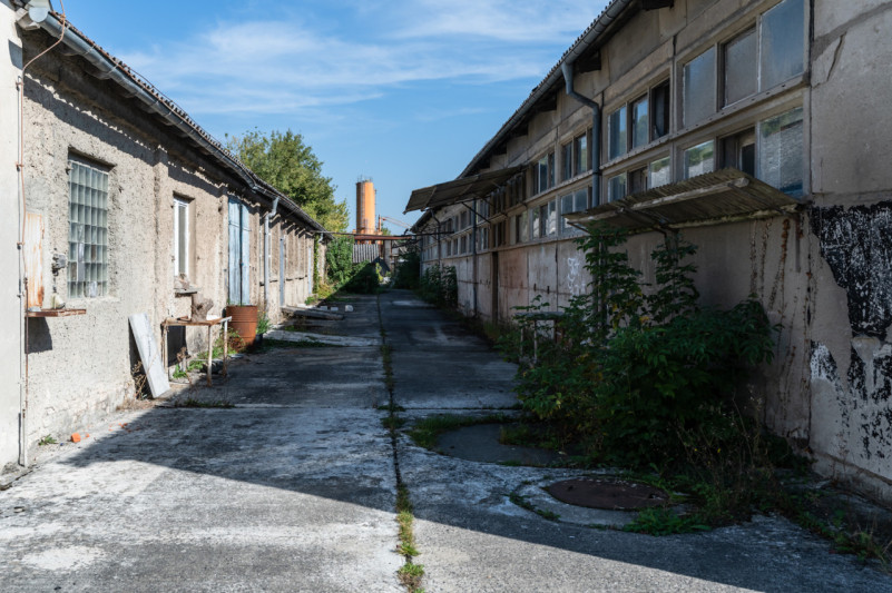 peluche74 parco culturale stolpe 8 (1)