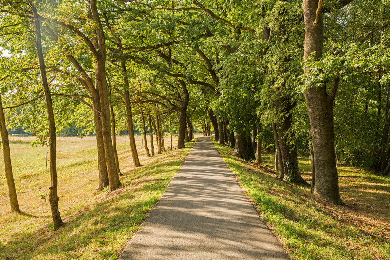 peluche74 location film foto cottbus germania casa4