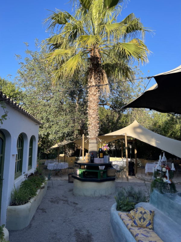 peluche74 location ibiza ristorante giardino film foto evento73