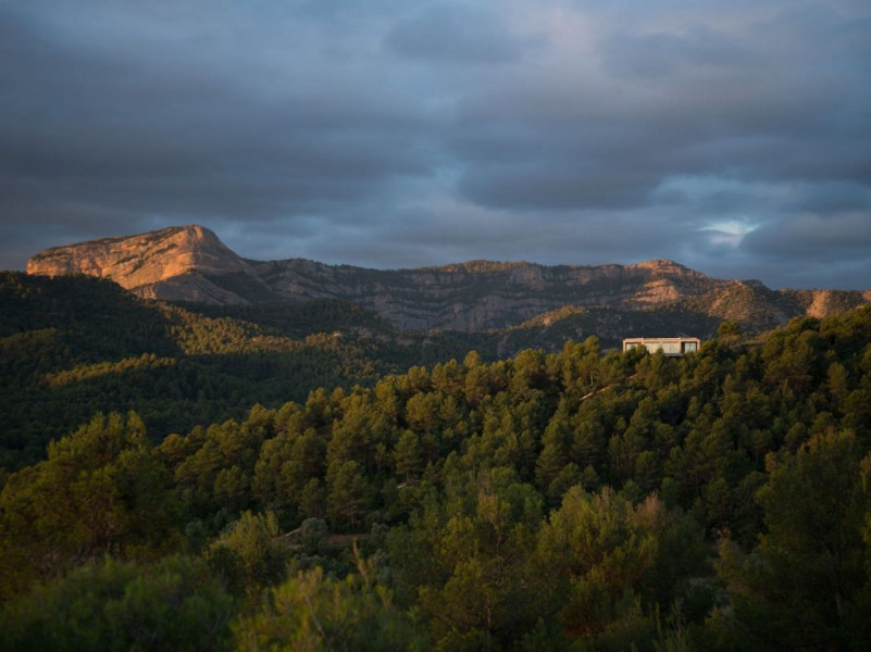 peluche74 location foto film architettura conrete natura casa madrid spagna12