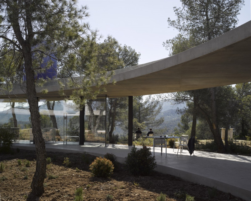 plush74 location foto film architettura conrete natura ufficio madrid spagna2