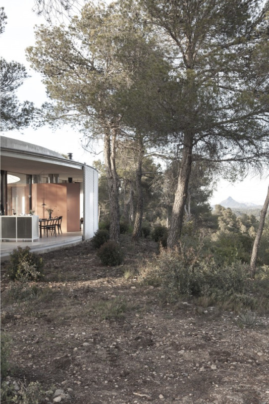 plush74 location foto film architettura conrete natura ufficio madrid spagna4