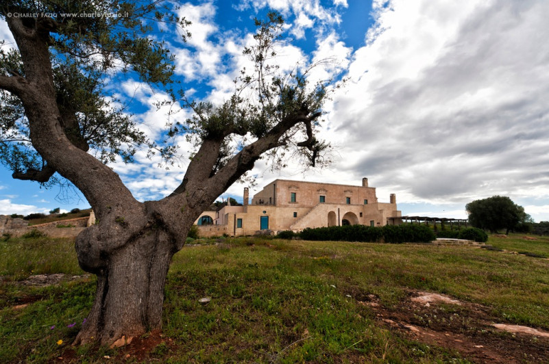 felpa74 localización foto película puglia italia hotel 15