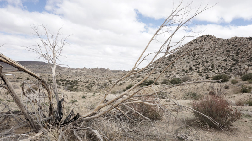 plush74 location scout rental photo film production las vegas usa6 (1)