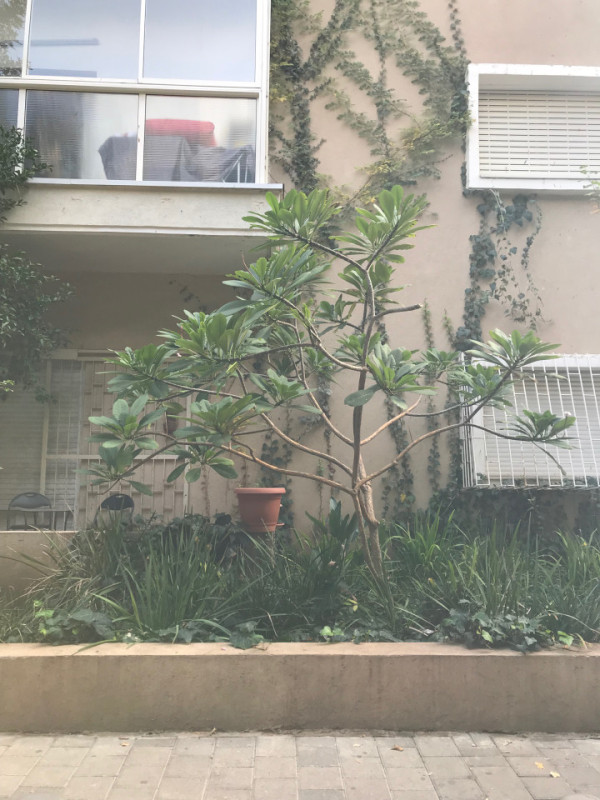 plush74 location scout rental photo film production tel aviv city16