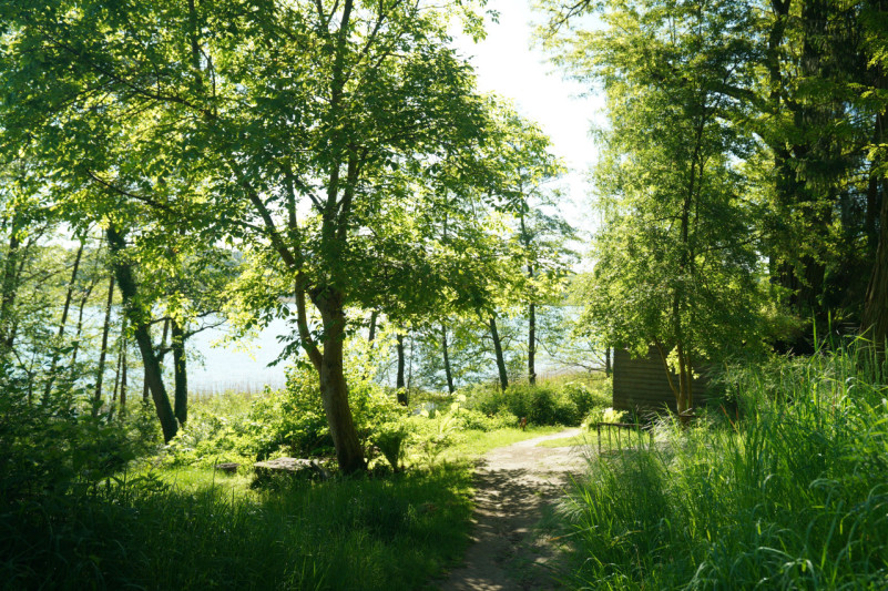 plush74 magical lakeside house 21