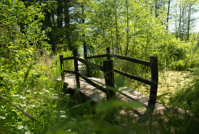 plush74 magical lakeside house 27