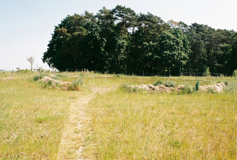 plush74 marsano feld 9