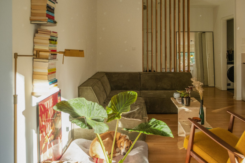 plush74 moderno apartamento con jardín kreuzberg 9