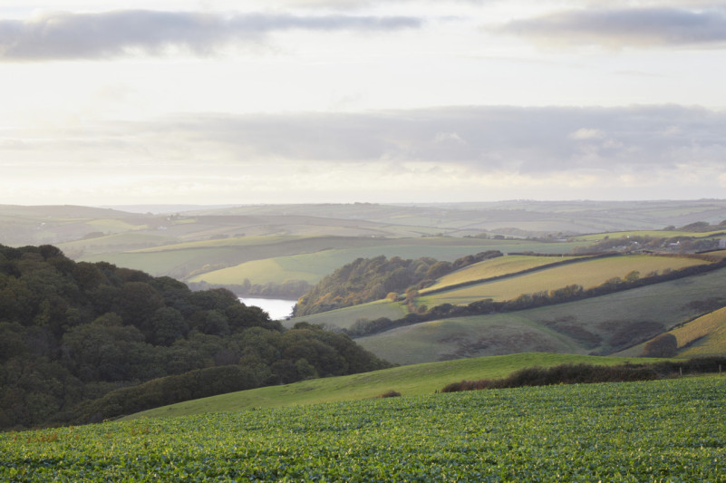 peluche74 peter zumthor ritiro laico uk 18