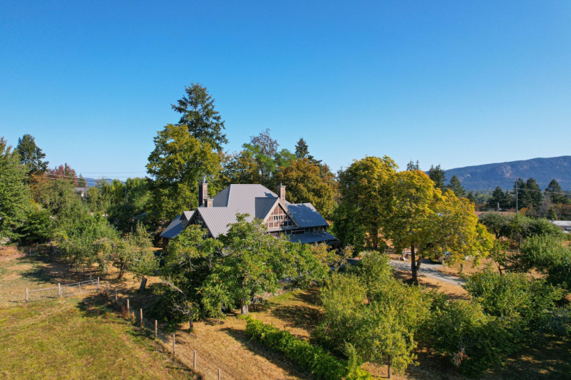 peluche74 película fotográfica lugar del evento isla de vancouver granja casa privada duncan 2