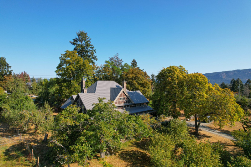 peluche74 película fotográfica lugar del evento isla de vancouver granja casa privada duncan 3