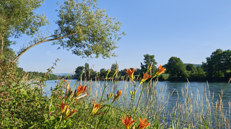 plush74 giardino privato in argovia 11