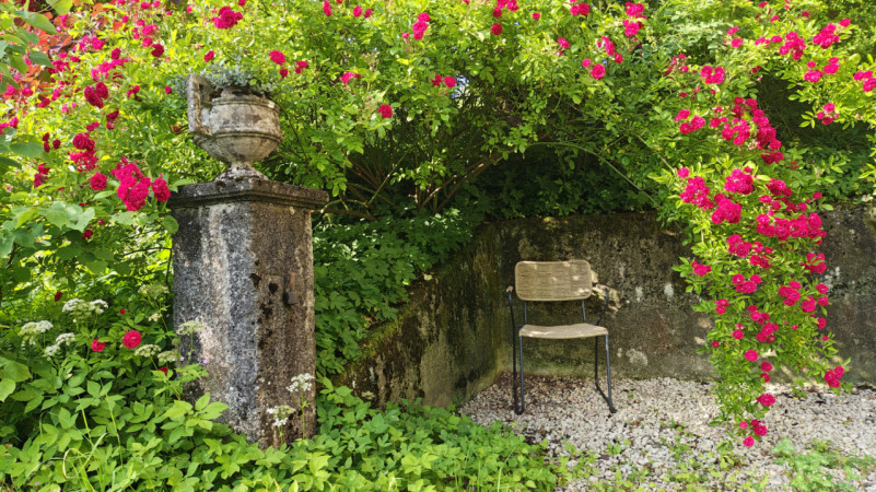 plush74 giardino privato in argovia 13