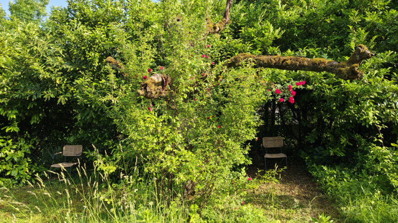 plush74 giardino privato in argovia 4