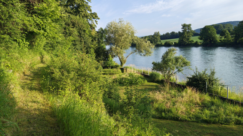 plush74 giardino privato in argovia 6