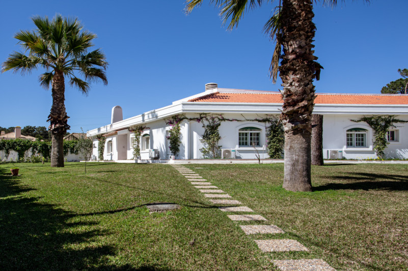 plush74 quinta flamingos 12