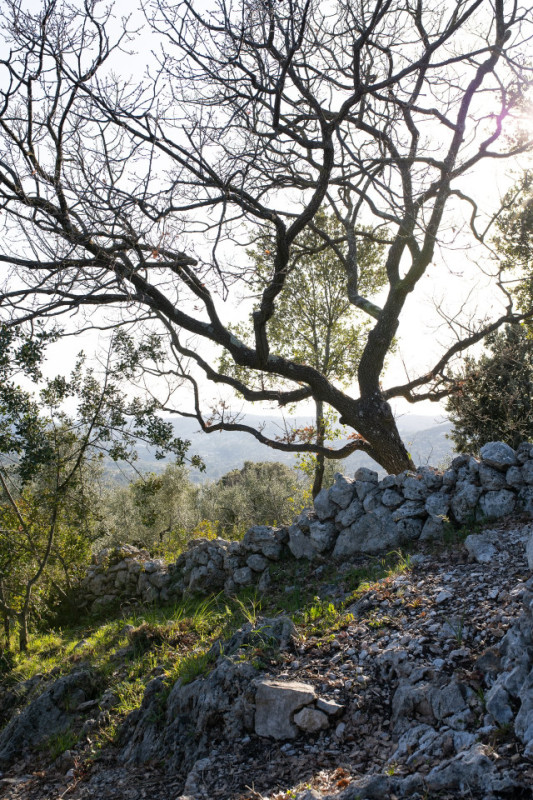 felpa74 alquiler lugar película foto producción00031