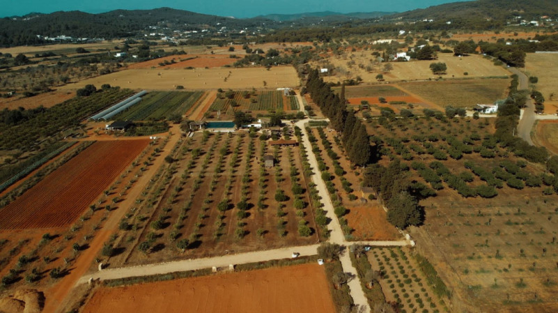 peluche74 alquiler producciones locaiton foto film granja ibiza spain00000