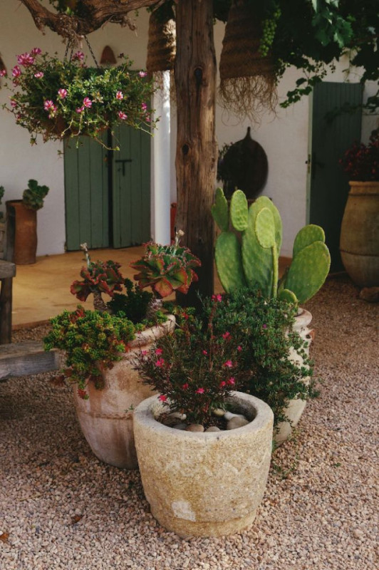 peluche74 alquiler producciones locaiton foto film granja ibiza spain00007