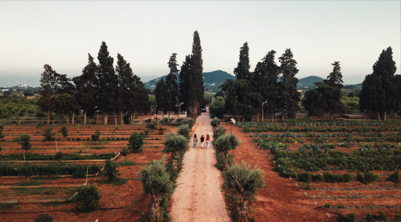 peluche74 alquiler producciones locaiton foto film granja ibiza spain00010