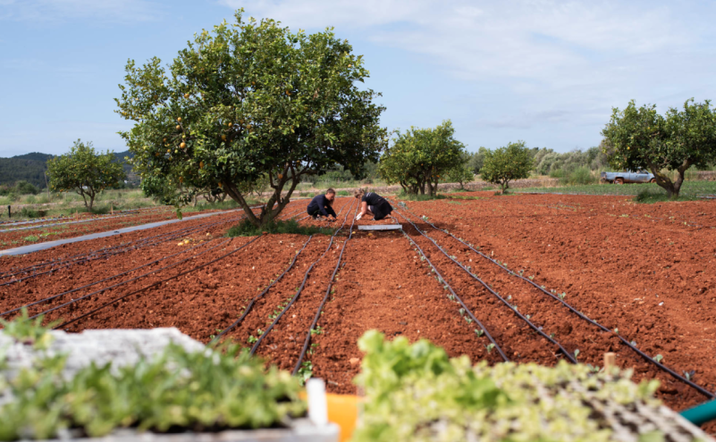 peluche74 alquiler producciones locaiton foto film granja ibiza españa00011