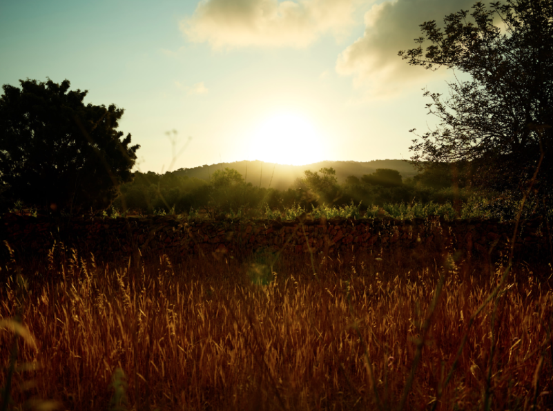 peluche74 alquiler producciones locaiton foto film granja ibiza españa00012